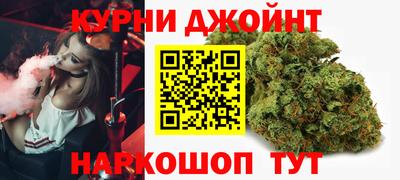 крисы Будённовск