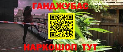 крисы Будённовск
