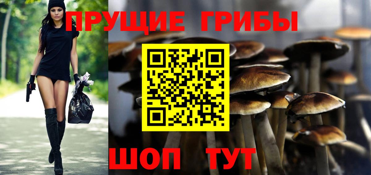 Галлюциногенные грибы GOLDEN TEACHER Серпухов